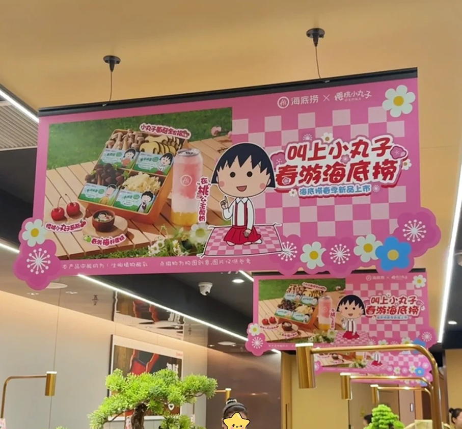 纸板